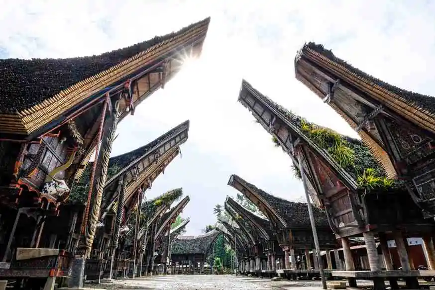 Tana Toraja Indonesia: Travel Guide & Best Things To Do